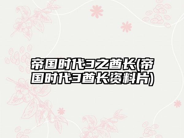 帝国时代3之酋长(帝国时代3酋长资料片)