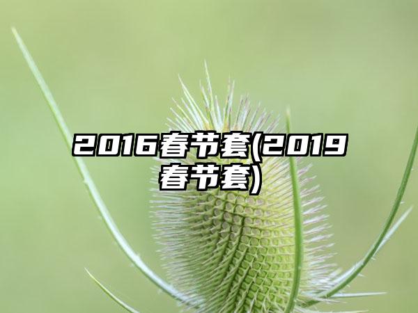 2016春节套(2019春节套)