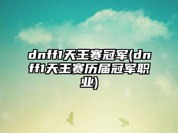 dnff1天王赛冠军(dnff1天王赛历届冠军职业)