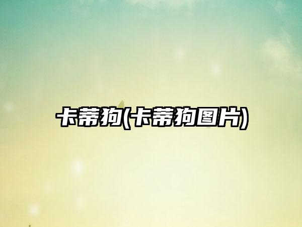 卡蒂狗(卡蒂狗图片)