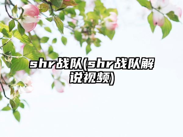 shr战队(shr战队解说视频)