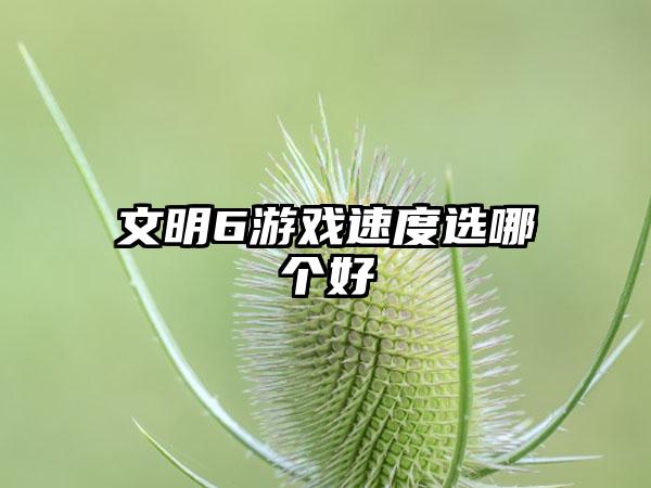 文明6游戏速度选哪个好