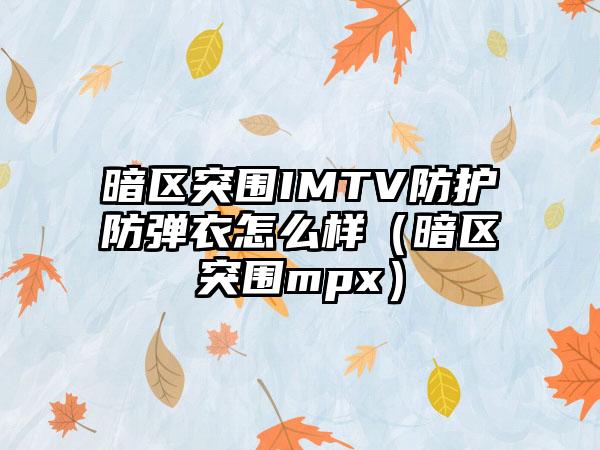 暗区突围IMTV防护防弹衣怎么样（暗区突围mpx）