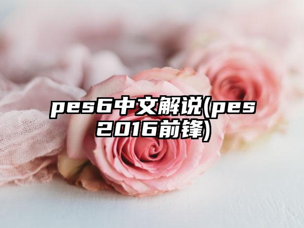 pes6中文解说(pes2016前锋)