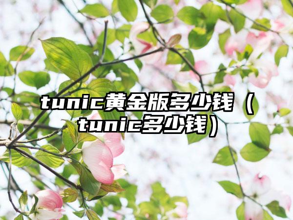 tunic黄金版多少钱（tunic多少钱）