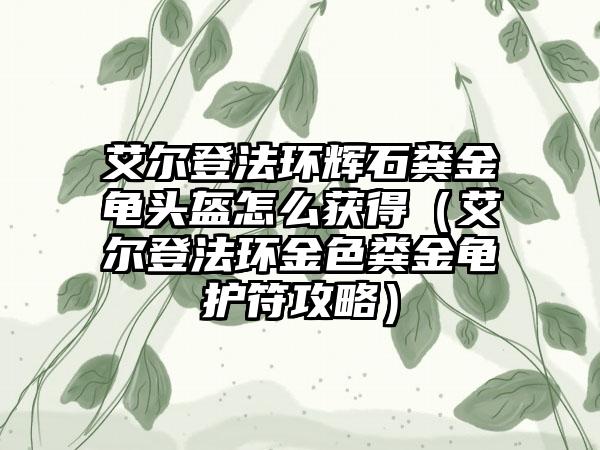 艾尔登法环辉石粪金龟头盔怎么获得（艾尔登法环金色粪金龟护符攻略）