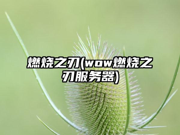 燃烧之刃(wow燃烧之刃服务器)