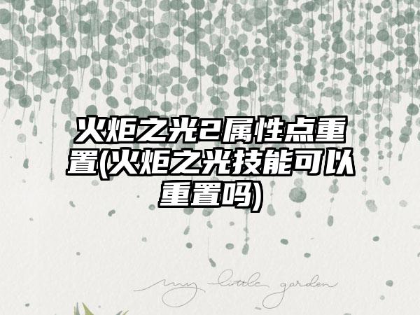 火炬之光2属性点重置(火炬之光技能可以重置吗)
