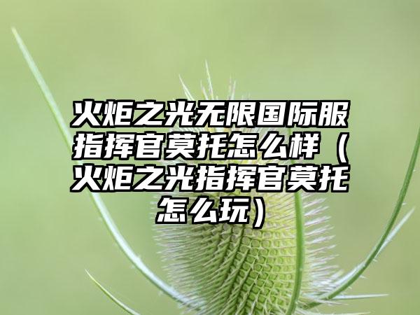 火炬之光无限国际服指挥官莫托怎么样（火炬之光指挥官莫托怎么玩）