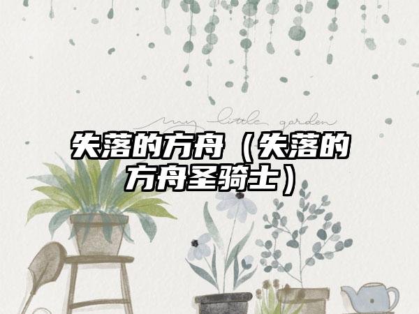 失落的方舟（失落的方舟圣骑士）