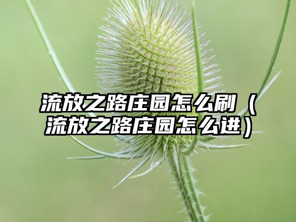 流放之路庄园怎么刷（流放之路庄园怎么进）