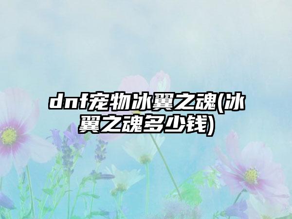 dnf宠物冰翼之魂(冰翼之魂多少钱)
