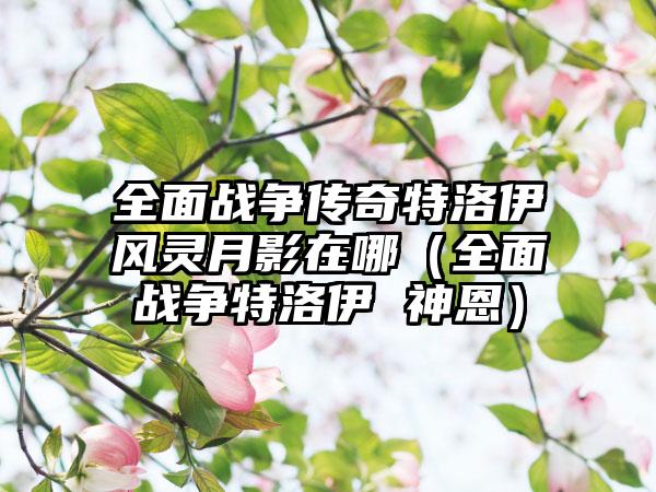 全面战争传奇特洛伊风灵月影在哪（全面战争特洛伊 神恩）