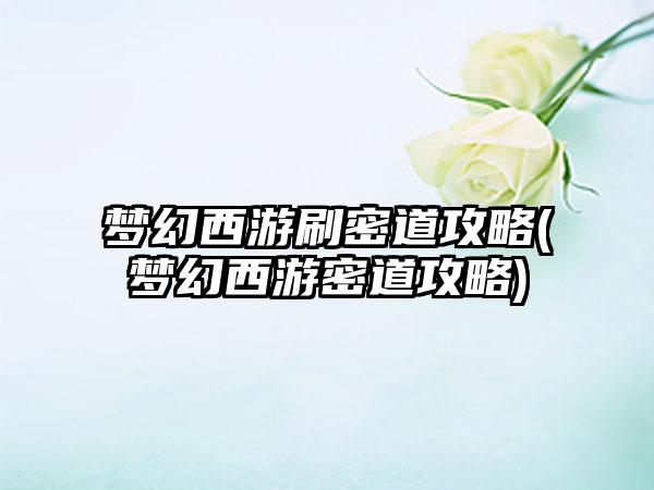 梦幻西游刷密道攻略(梦幻西游密道攻略)