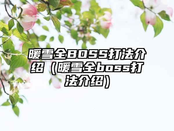 暖雪全BOSS打法介绍（暖雪全boss打法介绍）