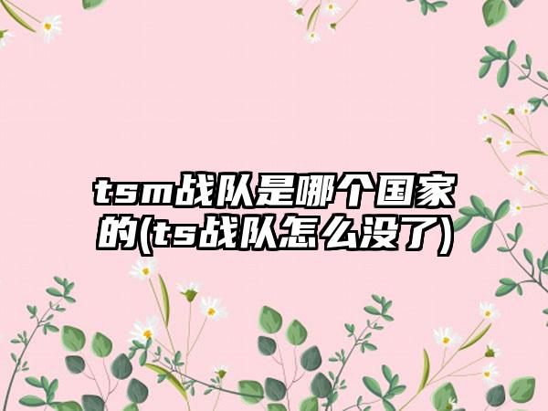 tsm战队是哪个国家的(ts战队怎么没了)
