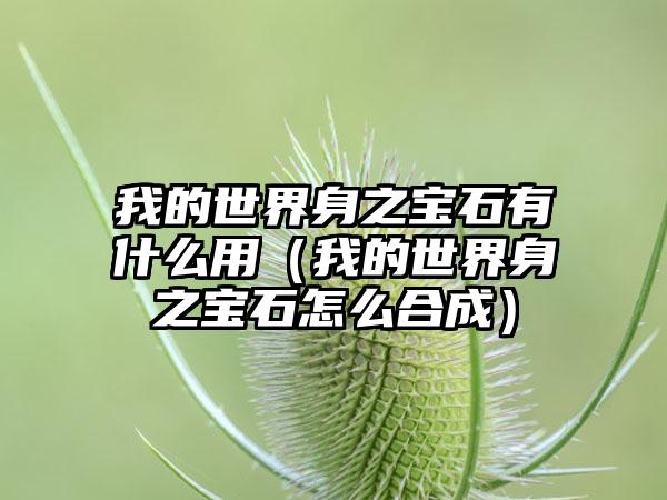 我的世界身之宝石有什么用（我的世界身之宝石怎么合成）