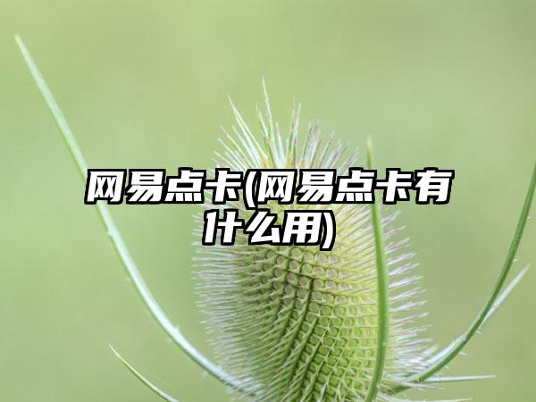 网易点卡(网易点卡有什么用)