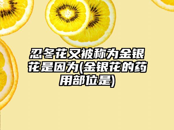 忍冬花又被称为金银花是因为(金银花的药用部位是)