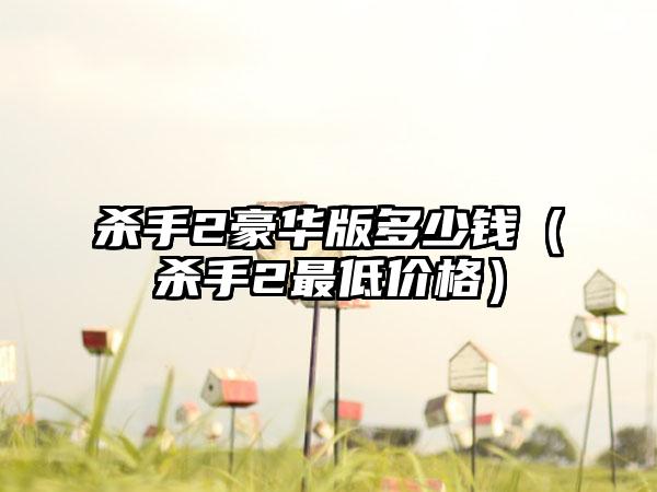 杀手2豪华版多少钱（杀手2最低价格）