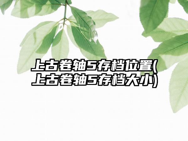 上古卷轴5存档位置(上古卷轴5存档大小)