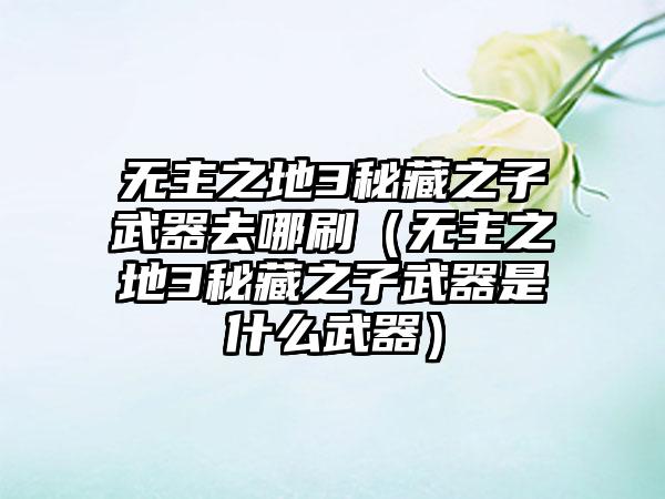 无主之地3秘藏之子武器去哪刷（无主之地3秘藏之子武器是什么武器）