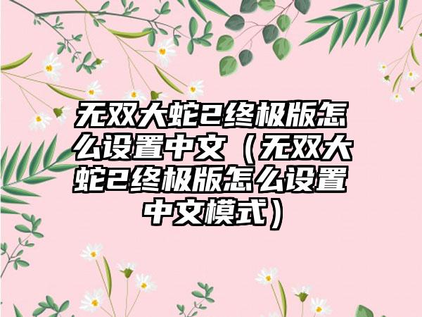无双大蛇2终极版怎么设置中文（无双大蛇2终极版怎么设置中文模式）