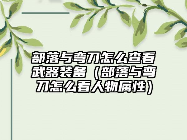 部落与弯刀怎么查看武器装备（部落与弯刀怎么看人物属性）