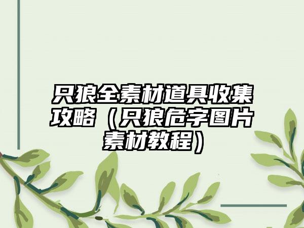 只狼全素材道具收集攻略（只狼危字图片素材教程）