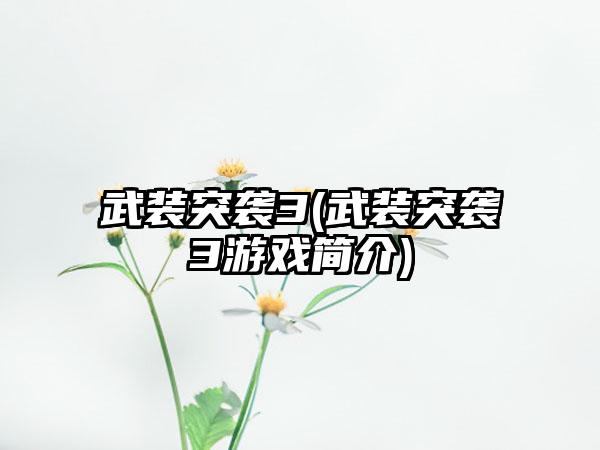 武装突袭3(武装突袭3游戏简介)