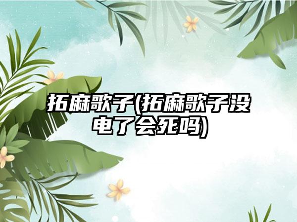 拓麻歌子(拓麻歌子没电了会死吗)