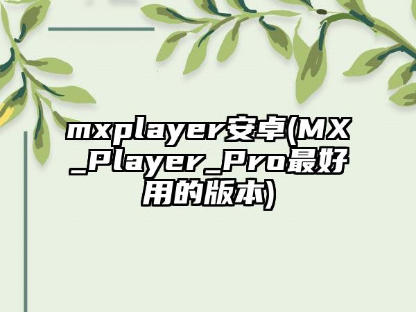 mxplayer安卓(MX_Player_Pro最好用的版本)