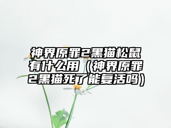 神界原罪2黑猫松鼠有什么用（神界原罪2黑猫死了能复活吗）