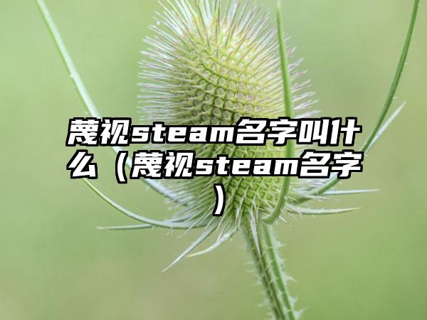 蔑视steam名字叫什么（蔑视steam名字）