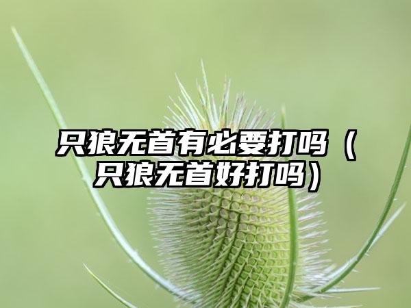 只狼无首有必要打吗（只狼无首好打吗）