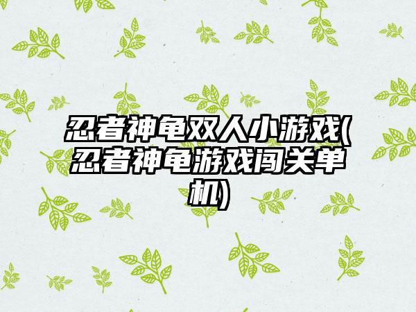 忍者神龟双人小游戏(忍者神龟游戏闯关单机)