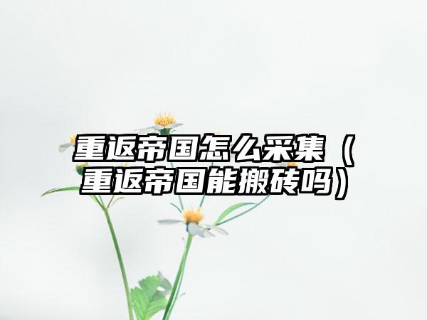 重返帝国怎么采集（重返帝国能搬砖吗）