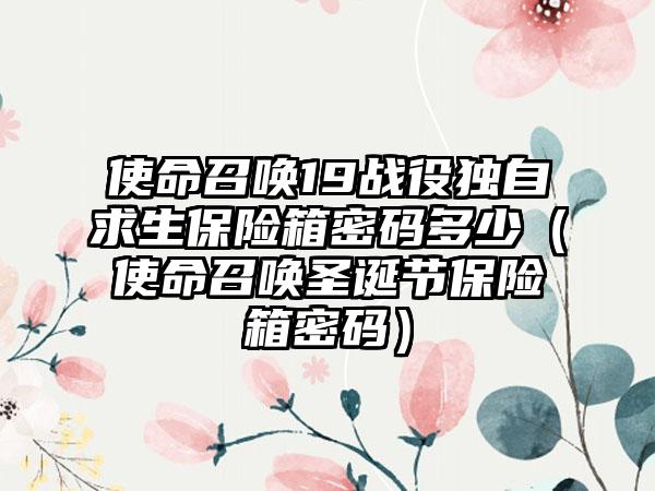 使命召唤19战役独自求生保险箱密码多少（使命召唤圣诞节保险箱密码）