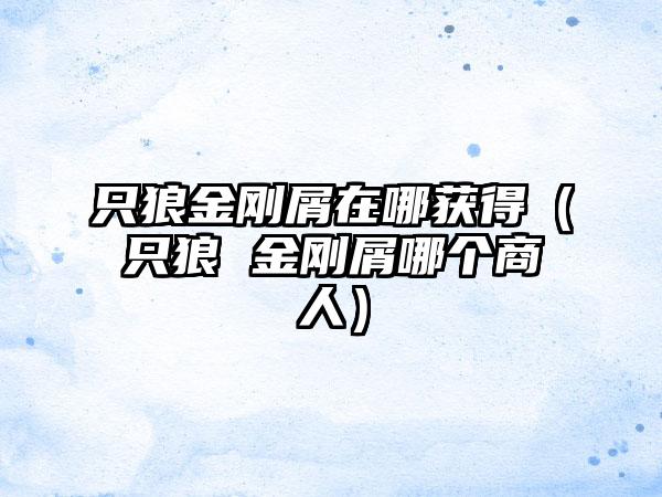 只狼金刚屑在哪获得（只狼 金刚屑哪个商人）