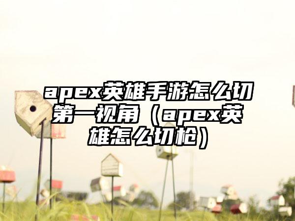 apex英雄手游怎么切第一视角（apex英雄怎么切枪）