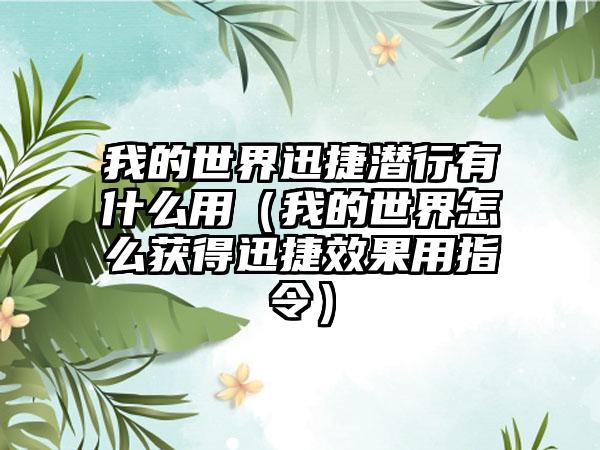 我的世界迅捷潜行有什么用（我的世界怎么获得迅捷效果用指令）