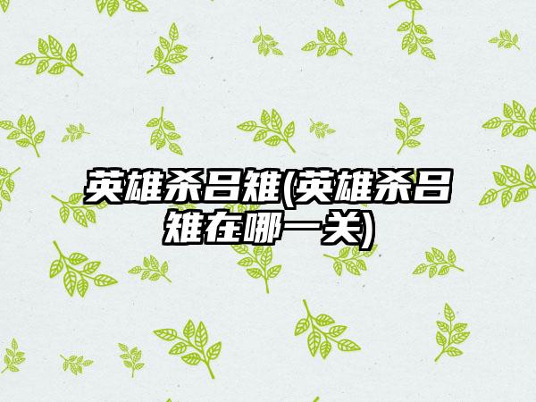 英雄杀吕雉(英雄杀吕雉在哪一关)