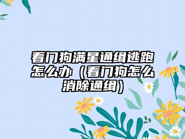 看门狗满星通缉逃跑怎么办（看门狗怎么消除通缉）