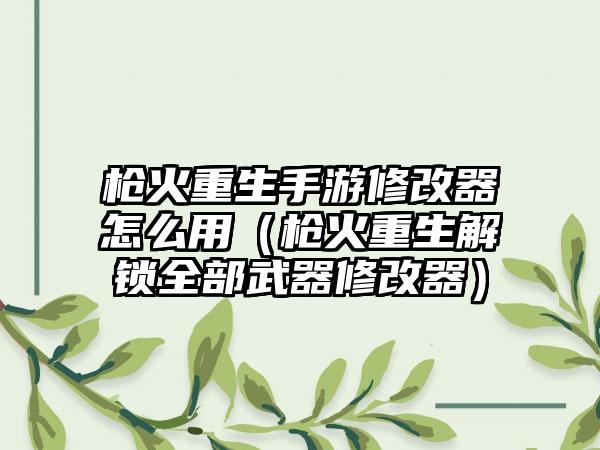 枪火重生手游修改器怎么用（枪火重生解锁全部武器修改器）