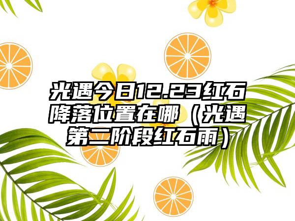光遇今日12.23红石降落位置在哪（光遇第二阶段红石雨）