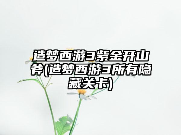 造梦西游3紫金开山斧(造梦西游3所有隐藏关卡)