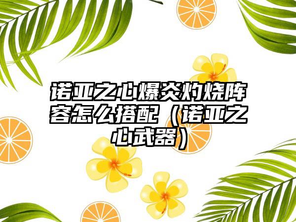 诺亚之心爆炎灼烧阵容怎么搭配（诺亚之心武器）