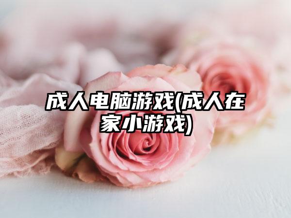 成人电脑游戏(成人在家小游戏)