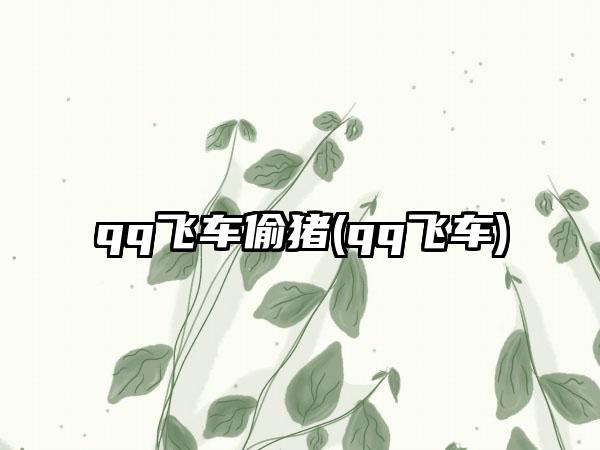 qq飞车偷猪(qq飞车)