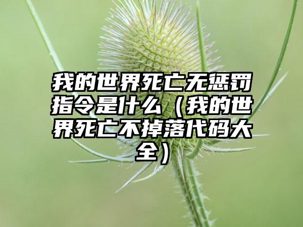 我的世界死亡无惩罚指令是什么（我的世界死亡不掉落代码大全）
